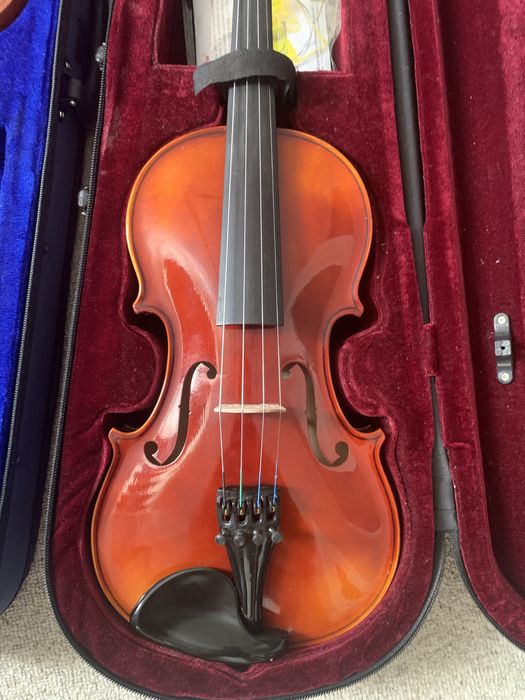 Скрипка 1,8 2,4 3,4 4,4