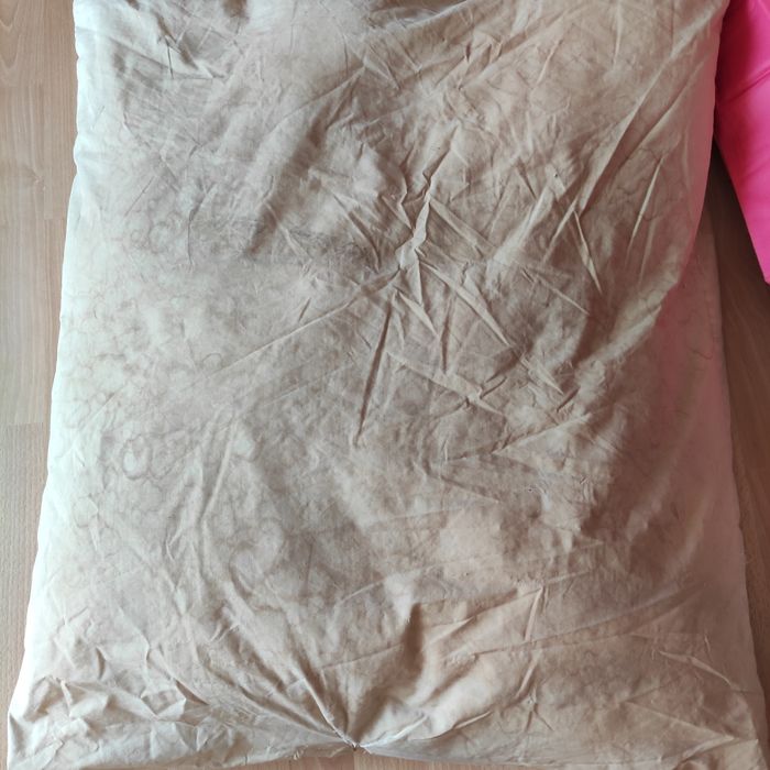 Poduszki z pierza puchowe 2 sztuki 70x80