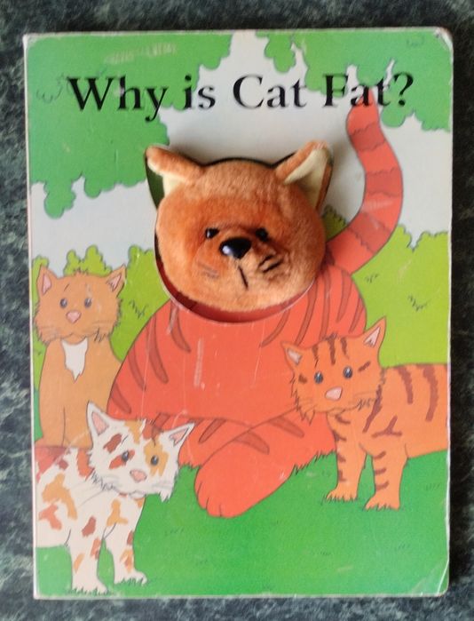 Why cat is fat?