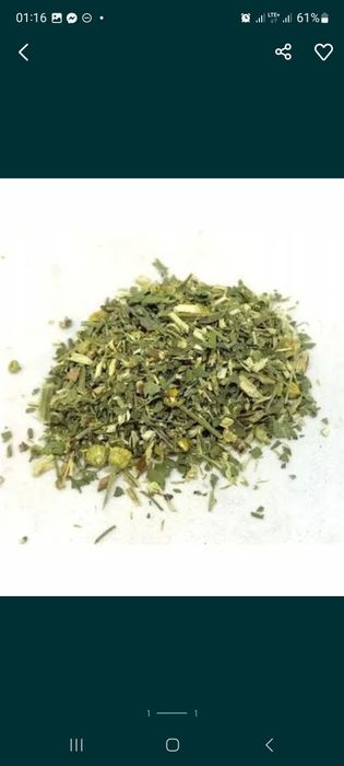 Wrotycz ziele suszone 100 g zbiór Sudety