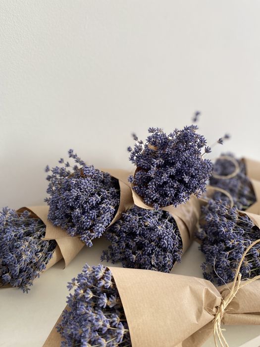 Бекетик із 101 гілочки лаванди та — ароматна казка, що дарує спокій