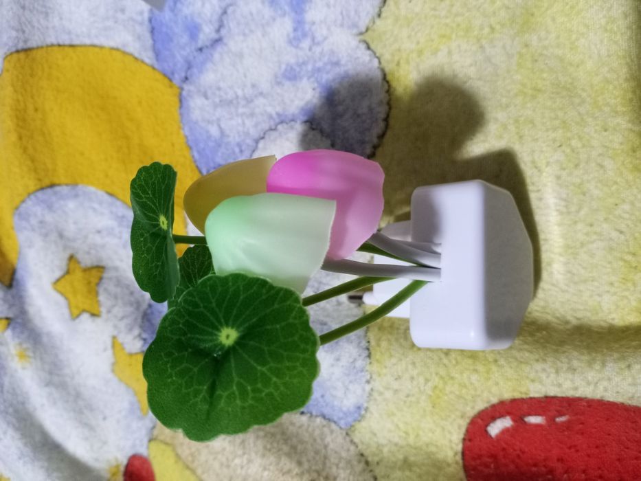 Luz noturna LED cogumelo