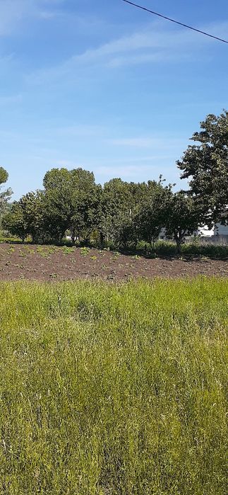 Продам земельну ділянку