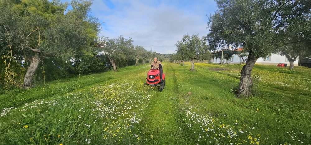 Limpeza de Terrenos/Jardins/Piscinas/Sistemas de Rega