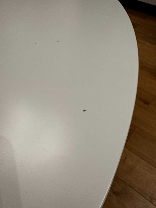 Stolik kawowy Jysk LEJRE 60x120cm biały/dąb