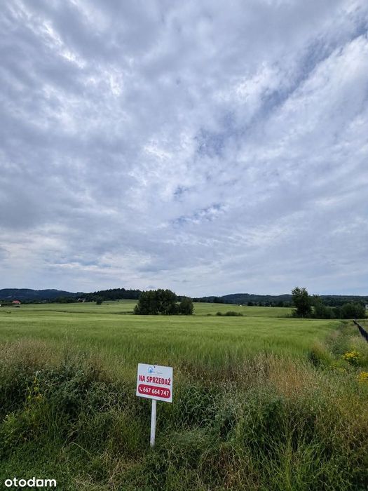 Młynica po drugiej stronie Ślęży - daj się zauroczyć