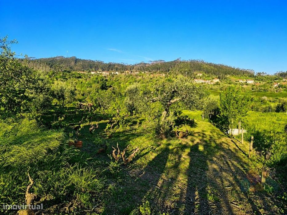 Quintinha com 7.520 m², Poço e Garagem | A13