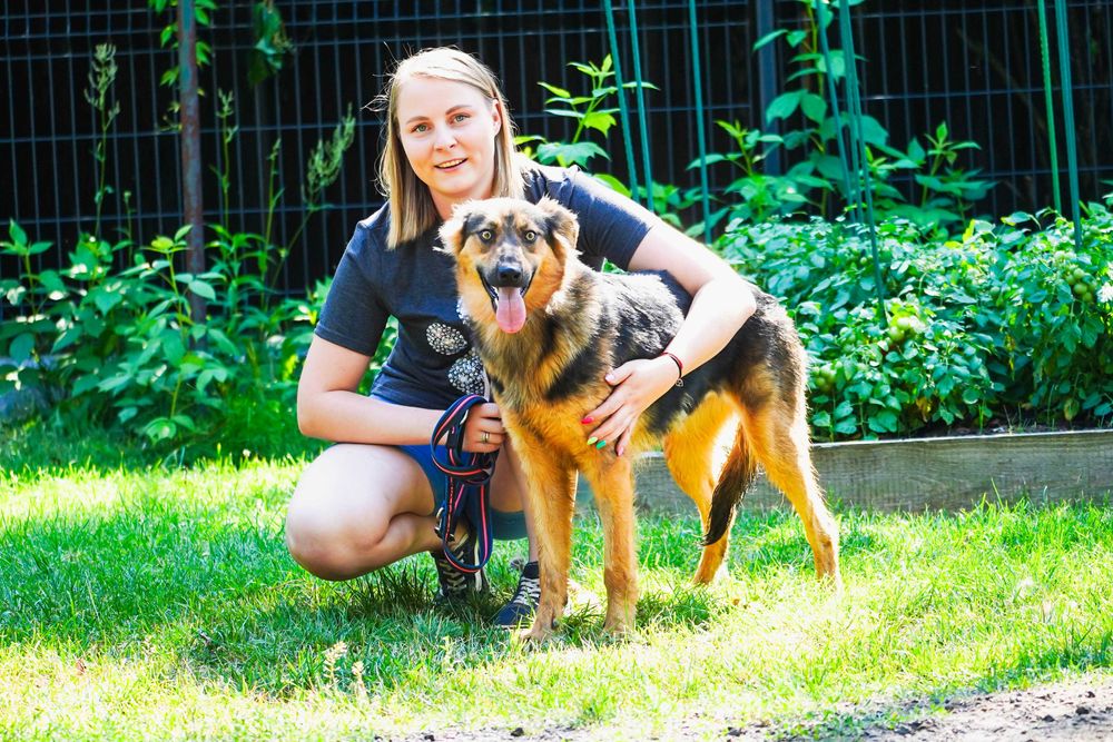 Nevada - cudowna, długowłosa sunia szuka domu