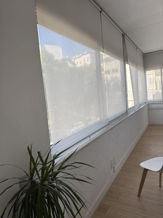 Estores de correr brancos. Skogsklover.