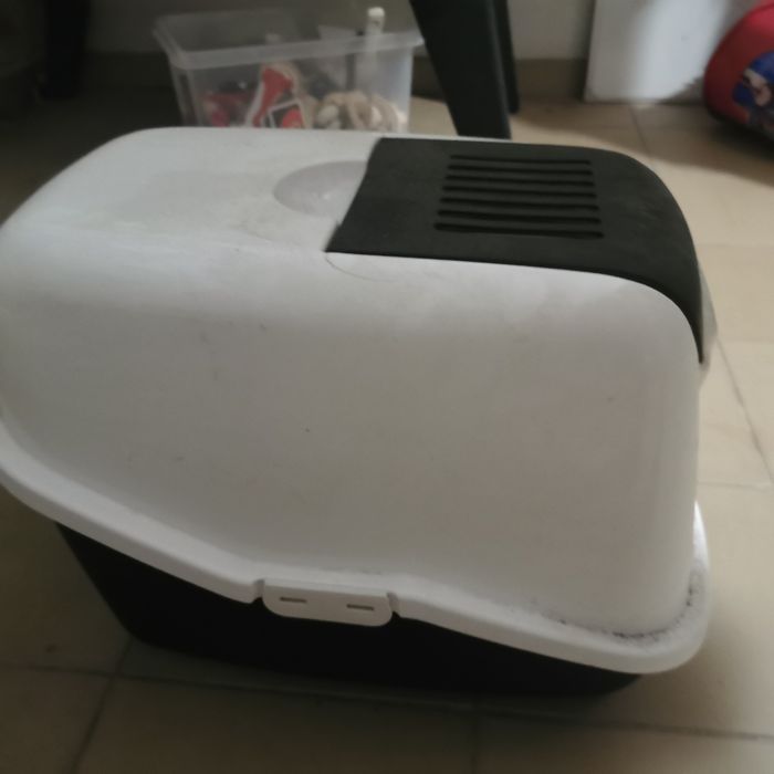 Caixa de gatos Savica Nestor