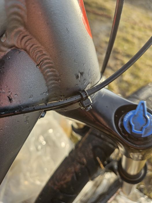 Rower Kellys Whip 50 2020