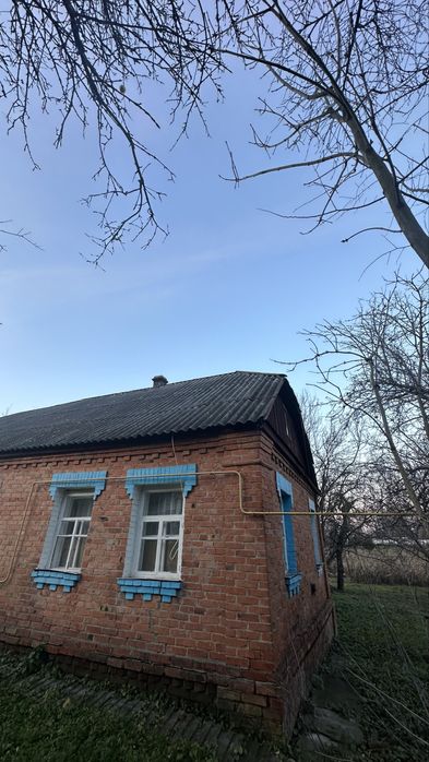 Продам будинок с. Житне