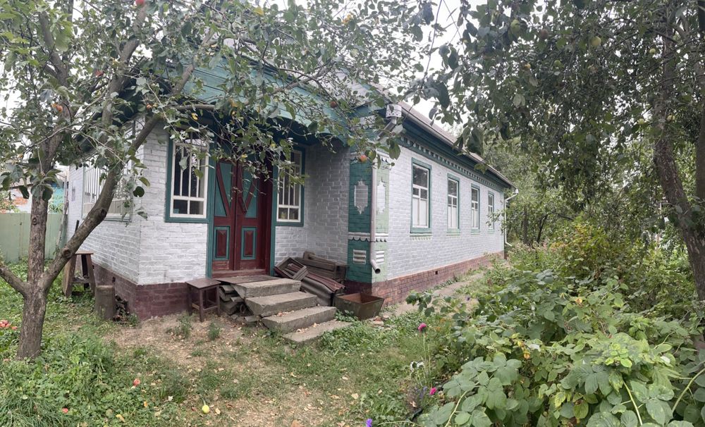 Продається будинок з ділянкою і господарськими будівлями
