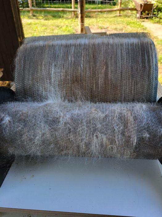 Poduszka z runa alpak. 100% alpaki