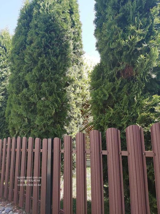 Штакетник Металический Штахетник Паркан з Штахетника Євроштахетник
