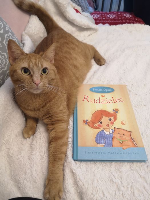 Książka dla dzieci Rudzielec Renata Opala