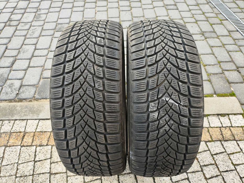 2x Opony zimowe Dayton DW510 EVO 205/50/R17