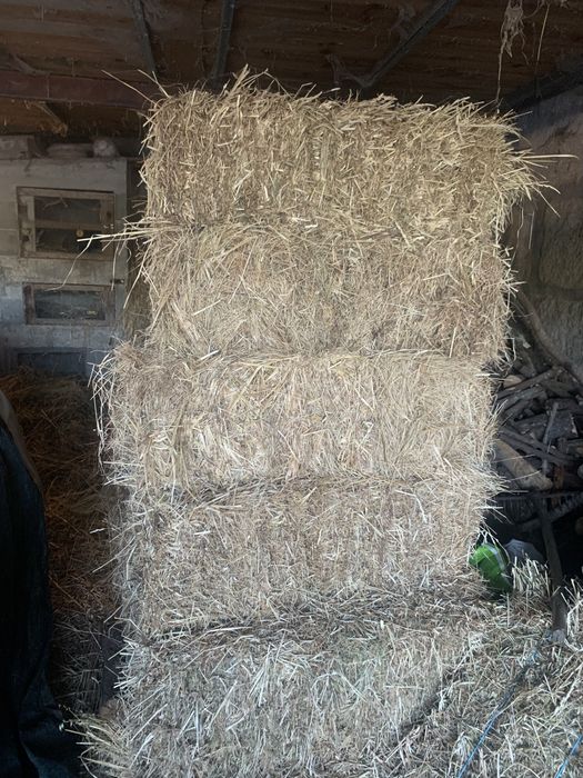 Fardos 2024, feno mistura