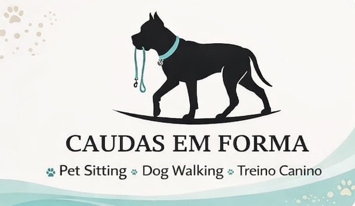 Treino de obediencia basica  pet sitting e dog walking
