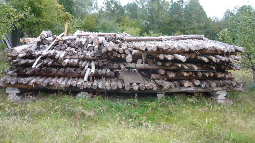 Drewno opałowe sosnowe opał sosna sucha wysezonowana