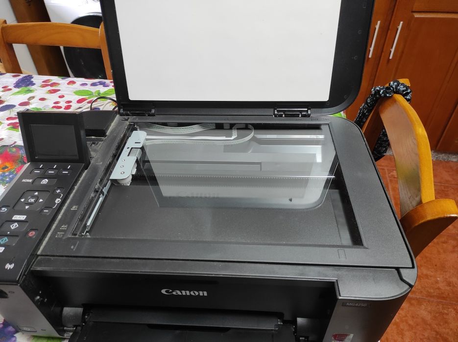 Impressora Canon MG4250