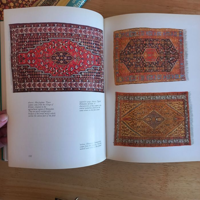Oriental Rugs and Carpets Fabio Formenton