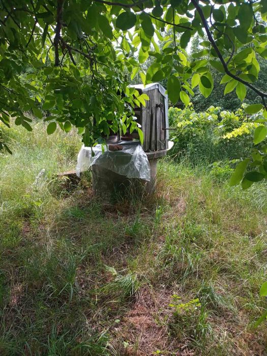 Продам земельну ділянку (дачу)