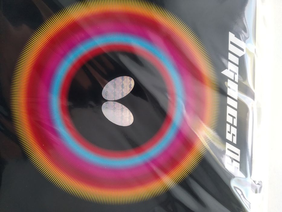 Butterfly Dignics 05