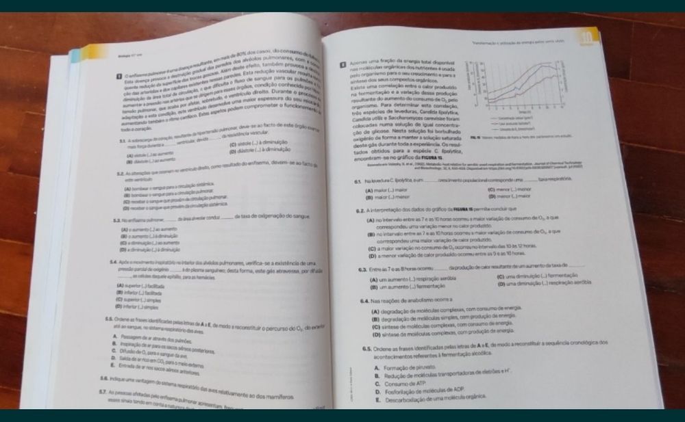 Manuais escolares para o 11 ano