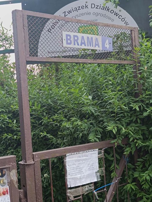 Działka ROD Niekłonice koło Koszalina rezerwacja - Widok 5