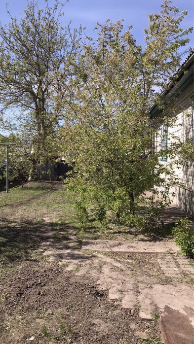 Продаж будинку в с.Журавка, Чернігівська обл., Прилуцький р-н