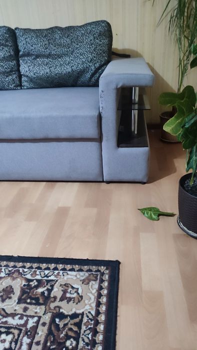 Великий кутовий диван