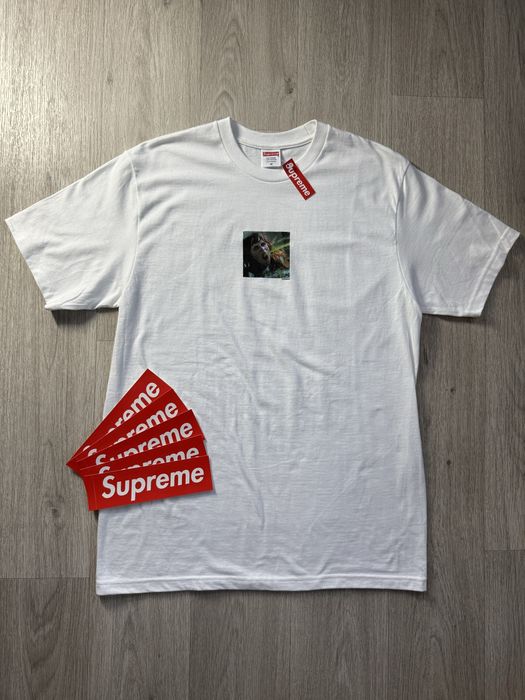 Supreme X The Exorcist Puke Tee White FW25 / Футболка Суприм Новая