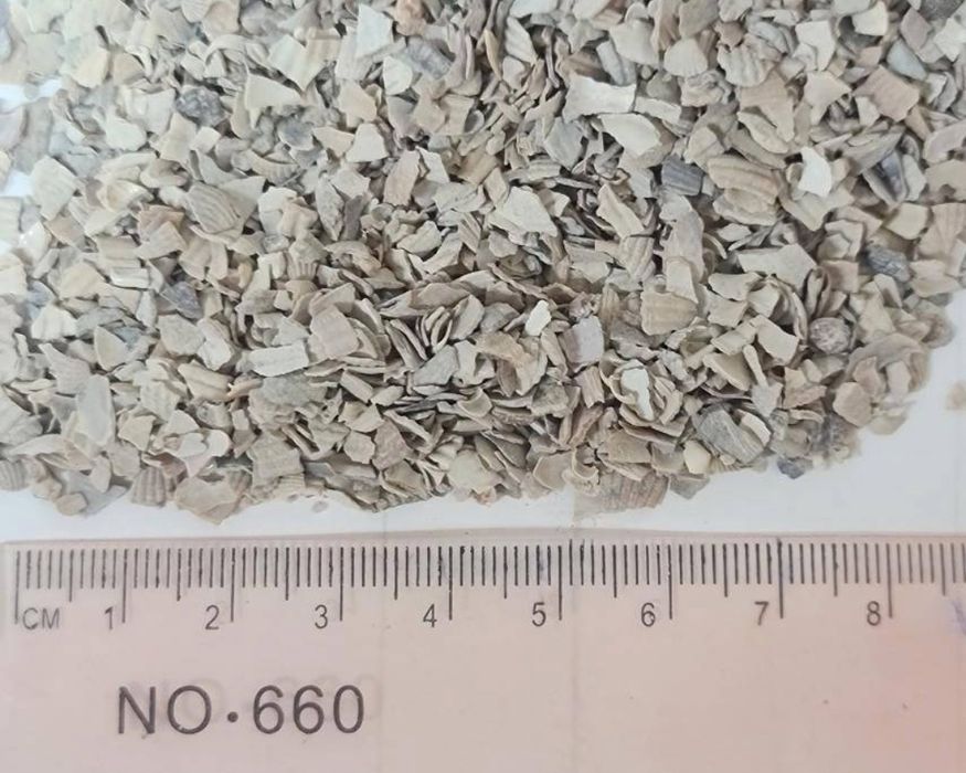 Ракушка кормова морська 10 кг