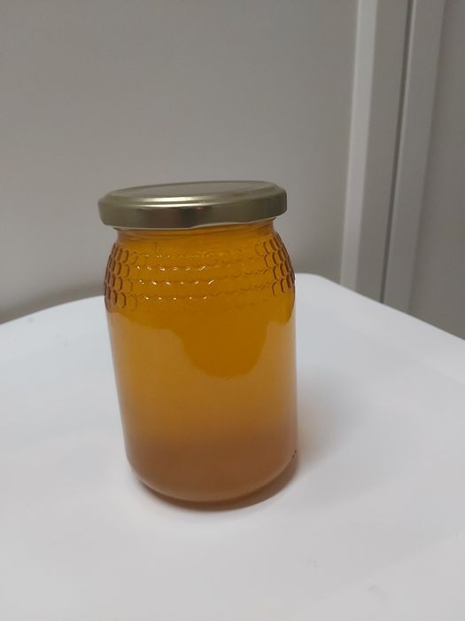 Mel de Rosmaninho Alto Alentejo 2025