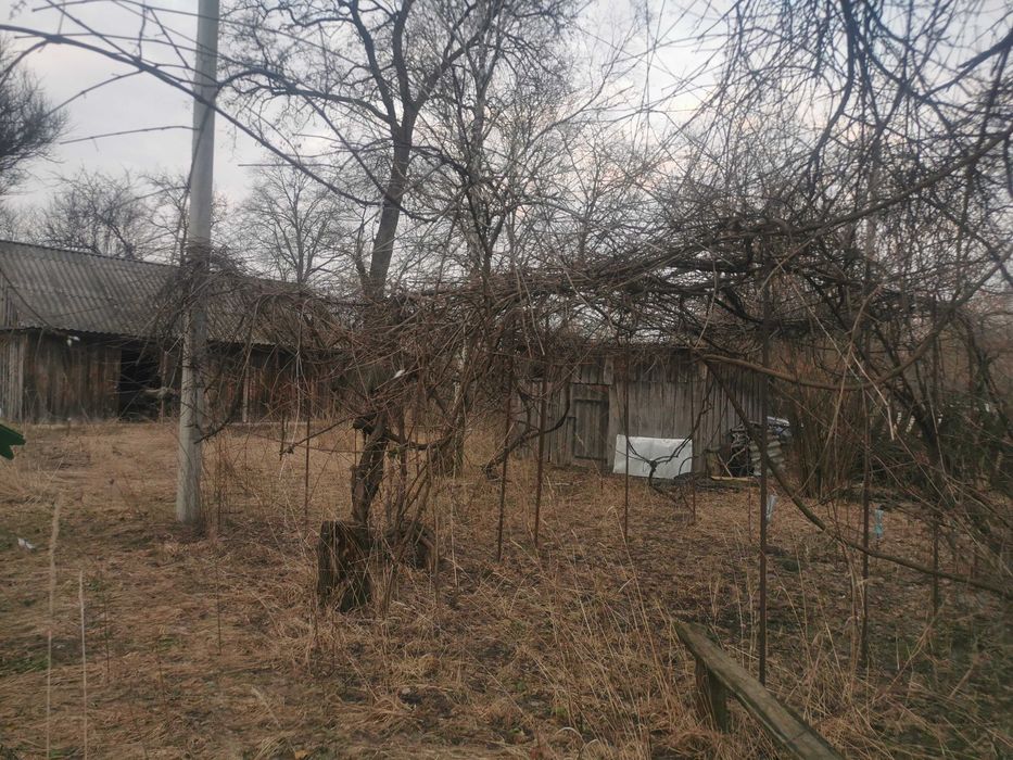 Без % продаж будинку с Нічогівка Козелецький р-н 36 соток Чернігівська