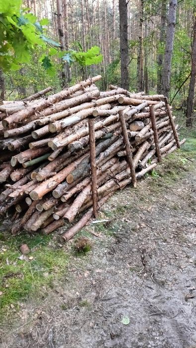 Drewno opałowe sosna