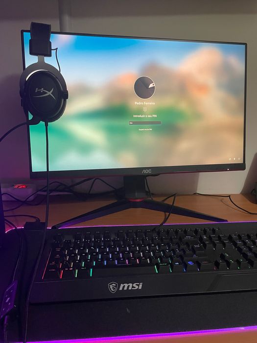 Pc gaming + monitor