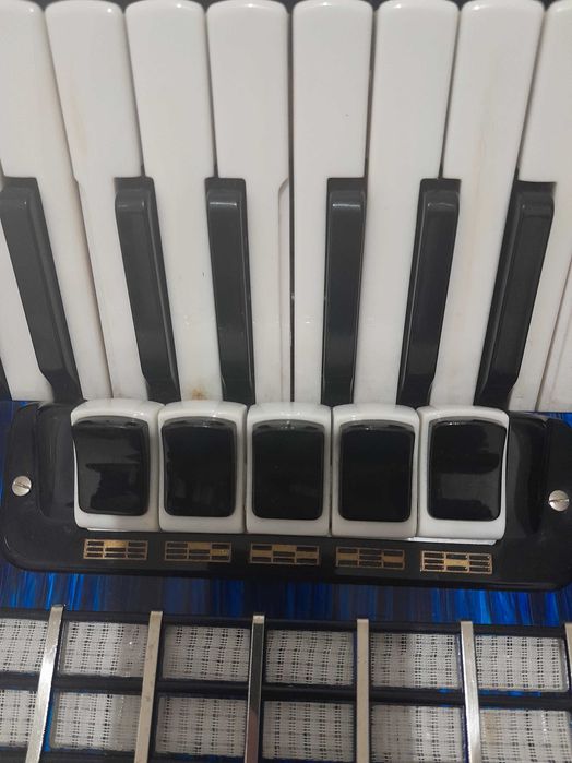 Akordeon Contasina(Weltmeister)80 basów