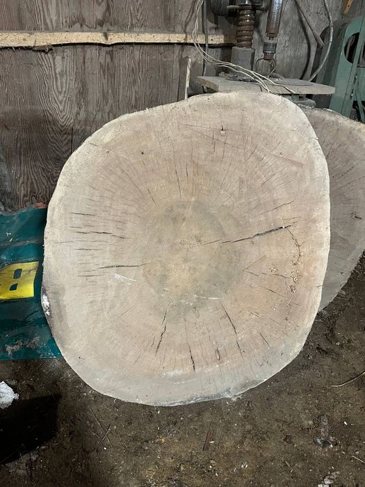 Берест,Платан от 100 у.е