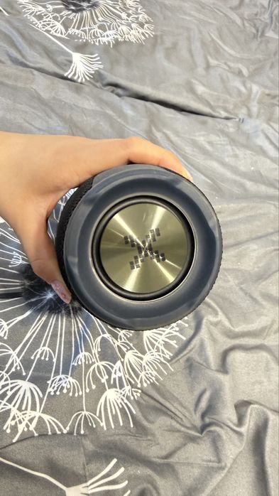 Głośnik przenośny