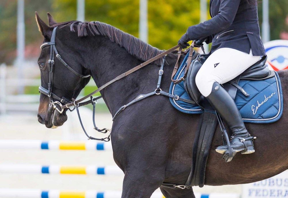 Piękna Klacz do sportu