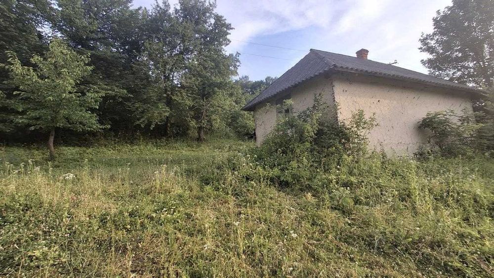 Продається будинок35 м2 і земельна ділянка 50 соток в с. Гостів, електрика, бізнес, сонячні панелі, дохід