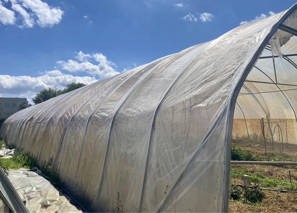 Namiot tunel foliowy ocynkowany 10 x 30 m Wrocław