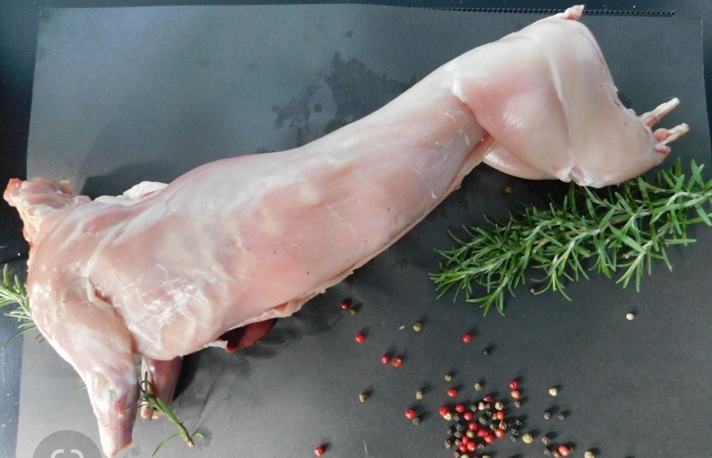 Tuszki królicze zdrowe