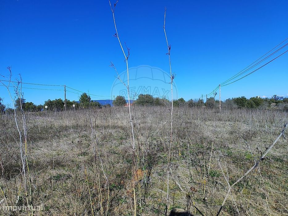 Terreno  para venda — Torres Novas (São Pedro), Lapas E Ribeira Branca, Santarém