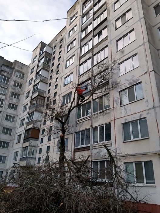 Спил деревьев, обрезка веток,, арбористика,,спилим дерево любое