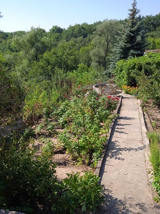 Продам дачу с.Привольное