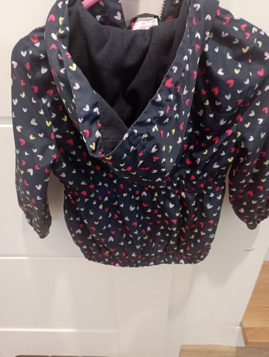 Kurteczka przejsciowa