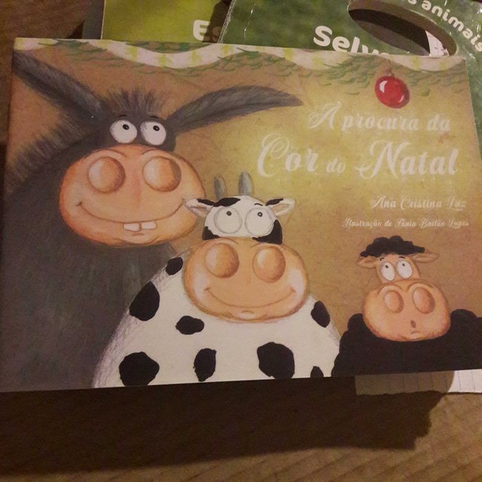 Á procura da cor do Natal Ana Cristina Luz tânia Bailão lopes bd livro infantil raro usado